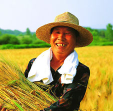 用吉姆克秸稈顆粒機,讓廢秸稈變大財富!