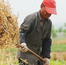 家用飼料顆粒機,助我年利潤翻番!
